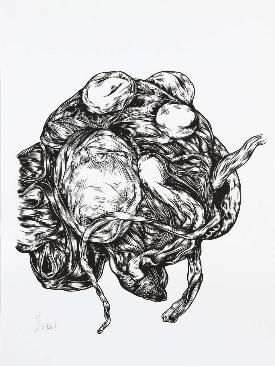 Insect, encre de chine sur papier, 60×80 cm, 2016